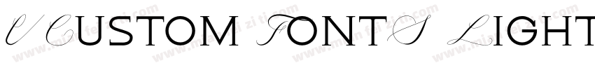 VCustom FontS Light字体转换